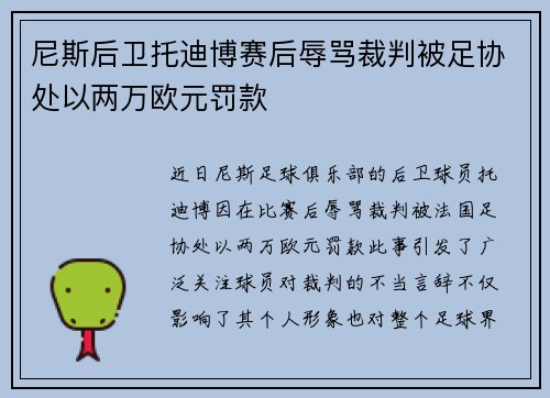 尼斯后卫托迪博赛后辱骂裁判被足协处以两万欧元罚款 尼斯后卫托迪博赛后辱骂裁判被足协处以两万欧元罚款